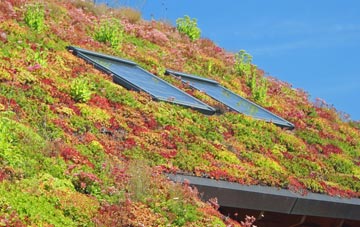 Stop And Call living roof systems