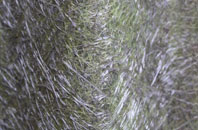 Stop And Call fibreglass roof work